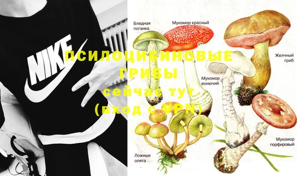 ГАЛЛЮЦИНОГЕННЫЕ ГРИБЫ Абаза