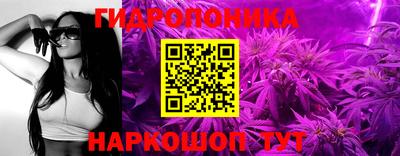 ешки Волгодонск