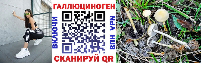 Галлюциногенные грибы MAGIC MUSHROOMS  сайты даркнета состав  Воткинск  где найти  
